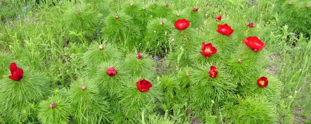 
            Фотография Успеновки