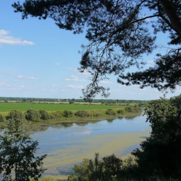 Чернаручье