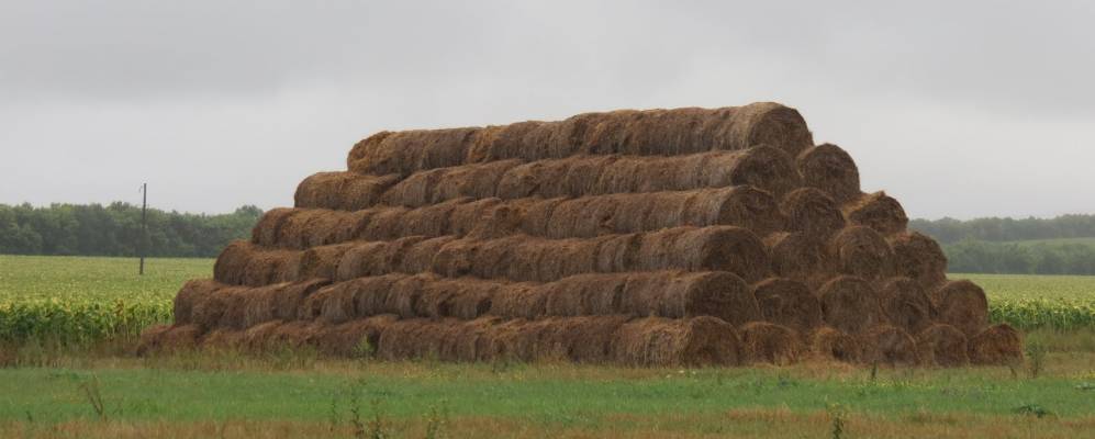 
            Фотография Куликовки