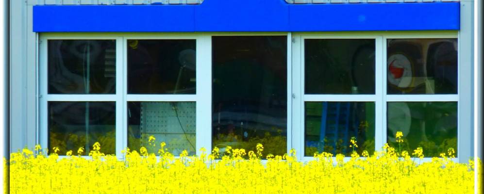 
            Фотография Рамзена