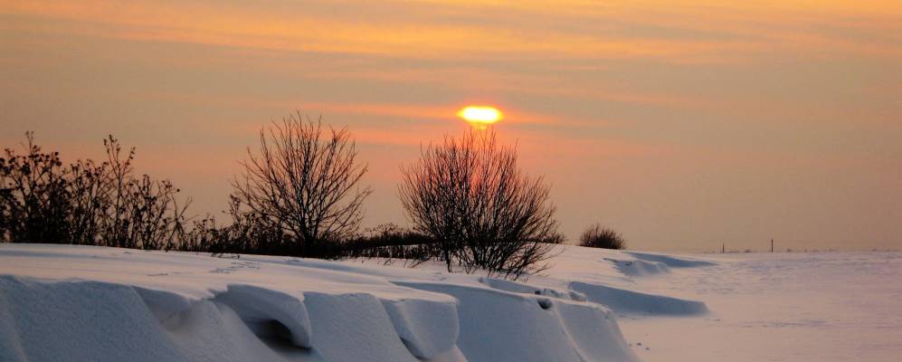 
            Фотография Новоселки