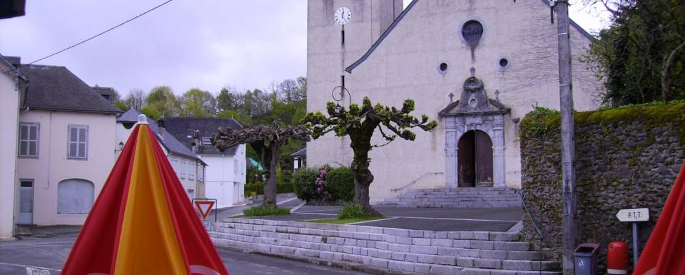 
            Фотография Арета