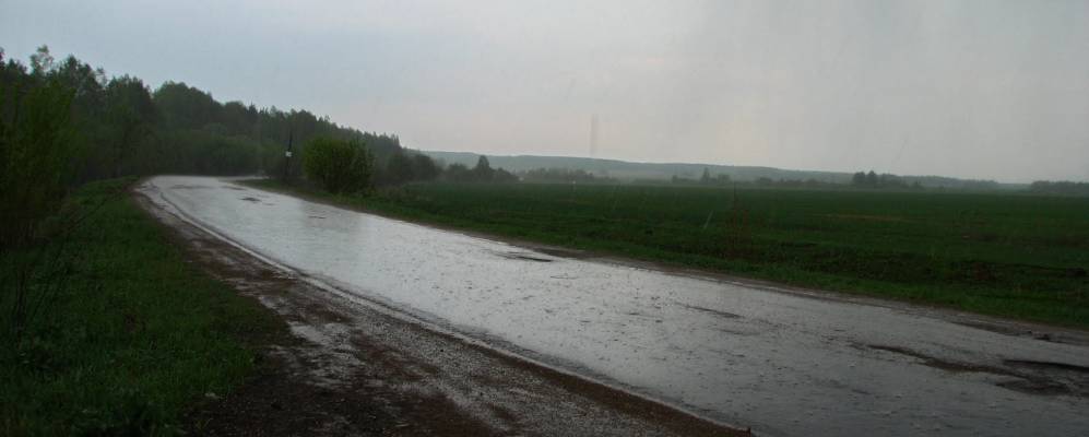 
            Фотография Ладерево