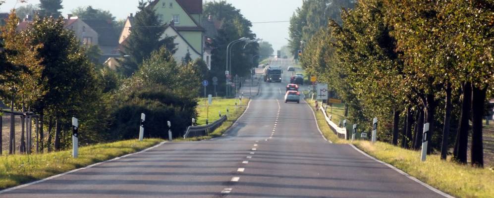 
            Фотография Розица