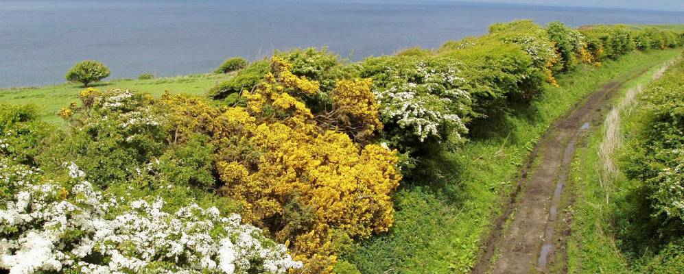 
            Фотография Рансуик