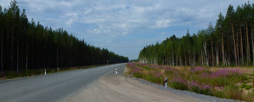 
            Фотография Лявдинки