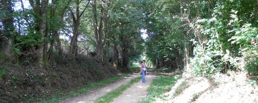 
            Фотография Лё-Вижана