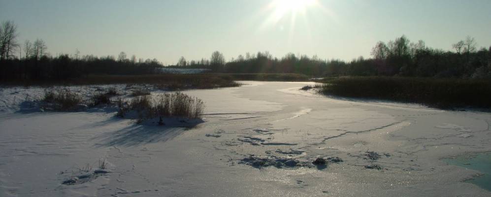 Фотография Оболи