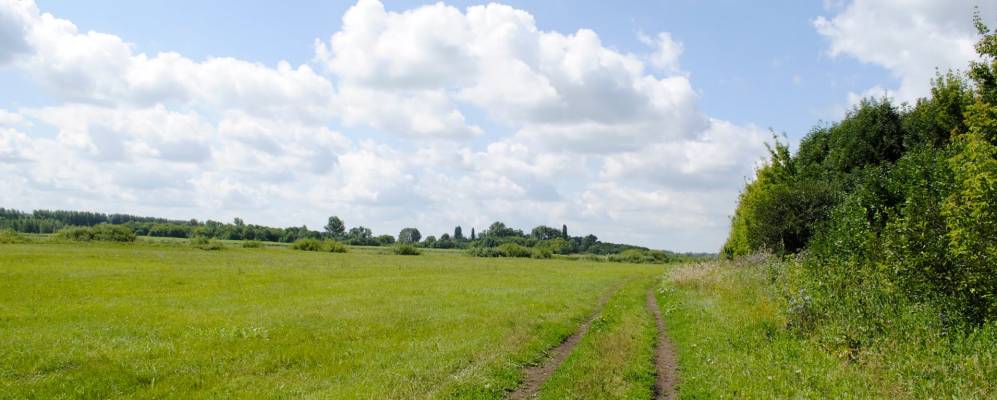 
            Фотография Маклики