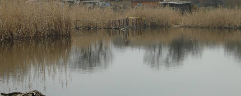 
            Фотография Вольной Степи