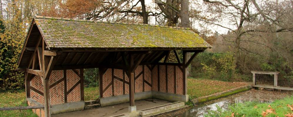 
            Фотография Ардон