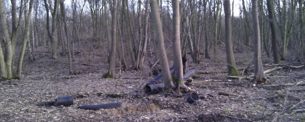 
            Фотография Финнинглей