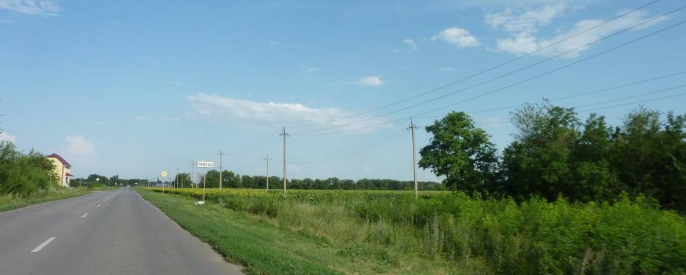 
            Фотография Левобережного