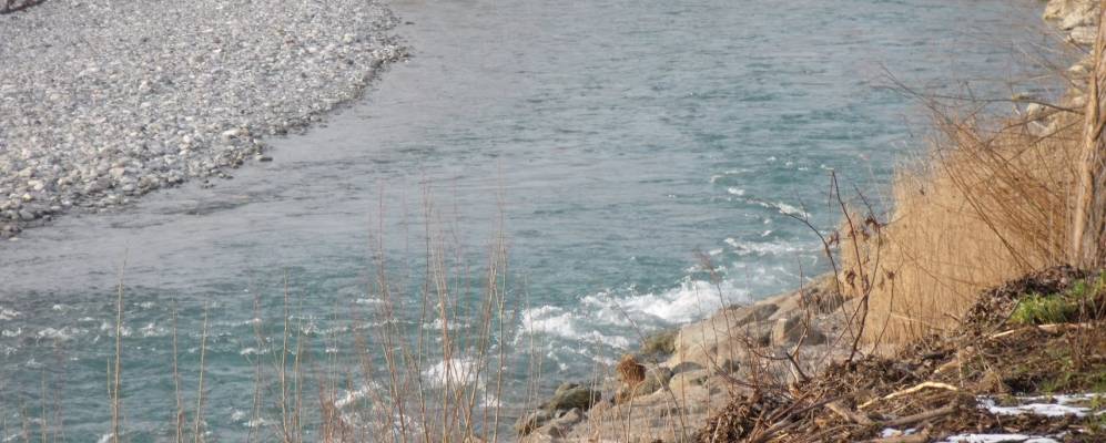 
            Фотография Ривергаро