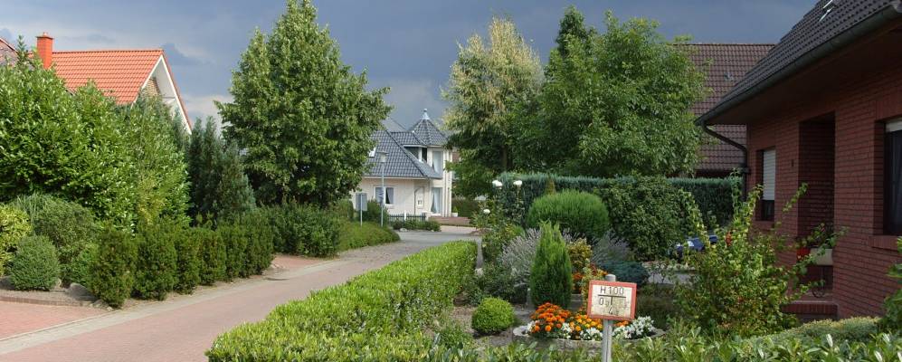 
            Фотография Зёгель