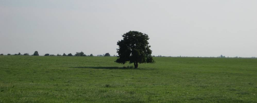 Фотография агрогородка Грицкевичи