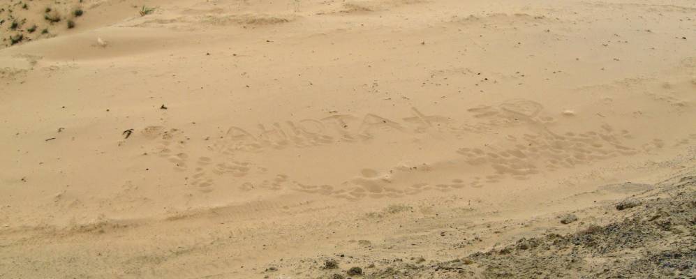 
            Фотография Кызылжара