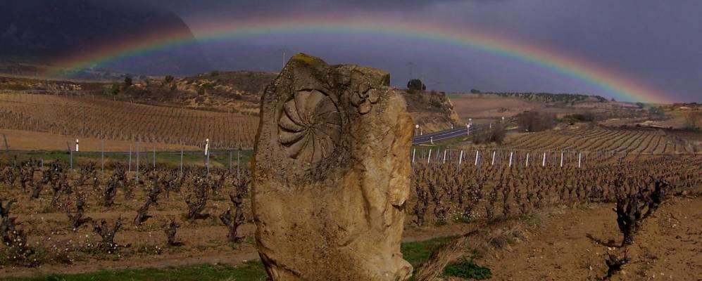 
            Фотография Саманьего