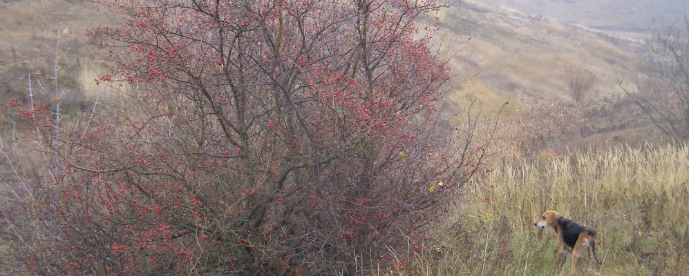 
            Фотография Перерывного