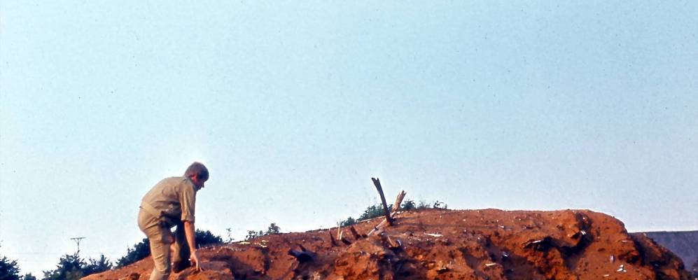 
            Фотография Старого Мутища