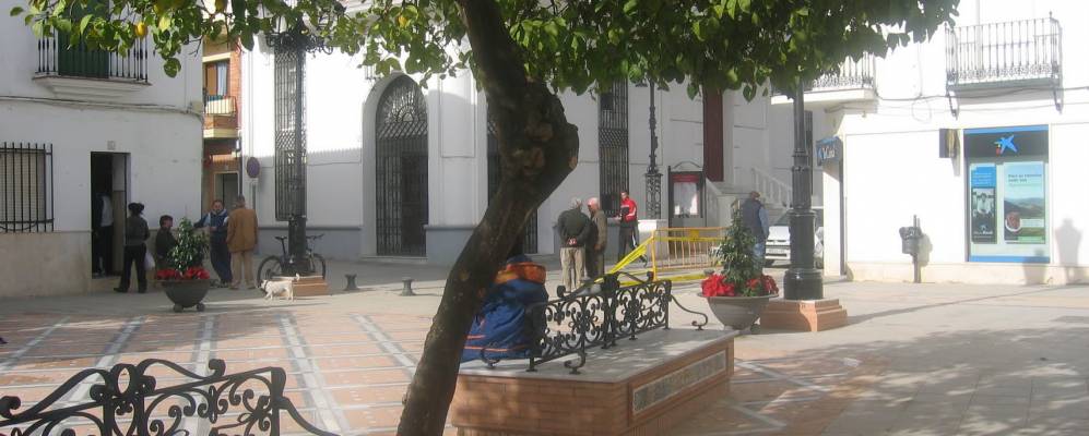 
            Фотография Трихуероса