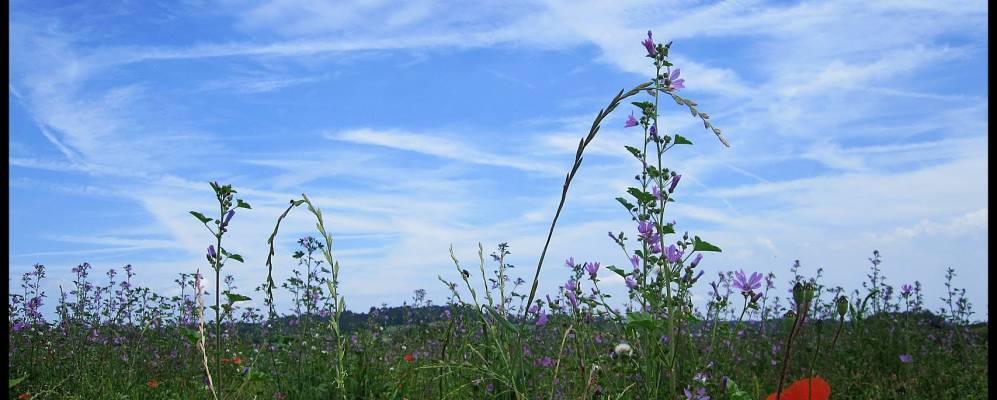 
            Фотография Хеттлингена