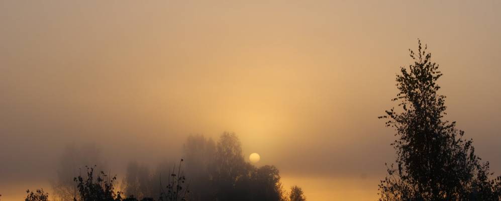 Фотография Шилово