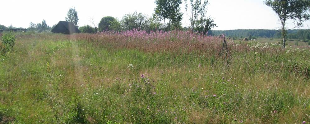 Фотография Точилово