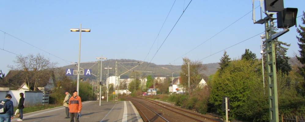 
            Фотография Шпринге