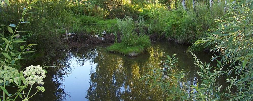 
            Фотография Васильевского