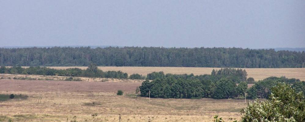 
            Фотография Березово