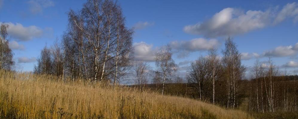 
            Фотография Новосёлки