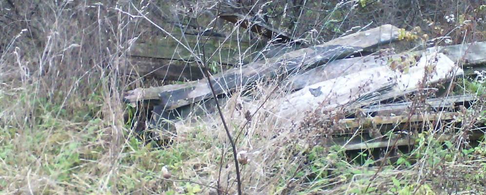 
            Фотография Поповки