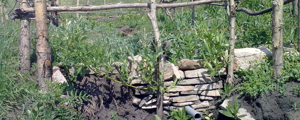 
            Фотография Кзыл-Басу