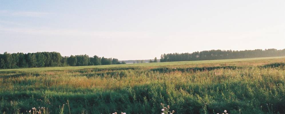 
            Фотография Тюша