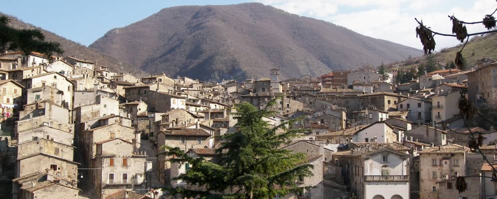 
            Фотография Сканно