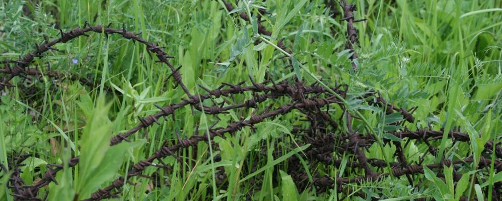 Фотография Карпово