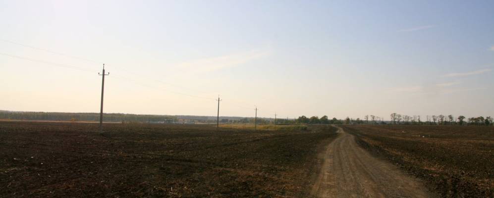 
            Фотография Тихонького