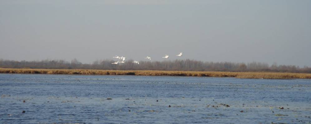 
            Фотография Завещевья