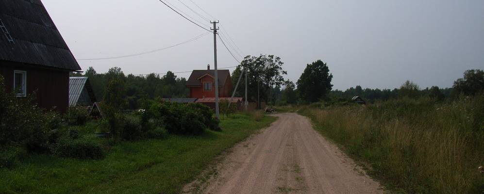 
            Фотография Вязки