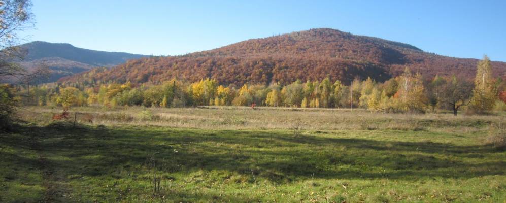 
            Фотография Лазы