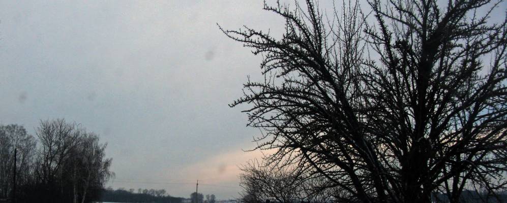 
            Фотография Коминтерна