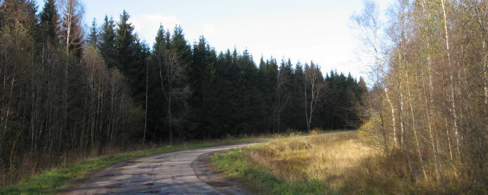 
            Фотография деревни Нетки