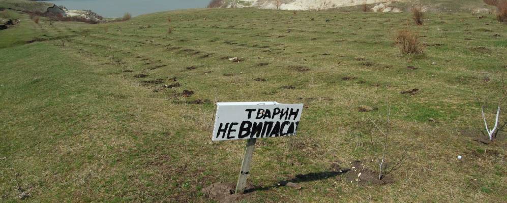 
            Фотография Оселевки