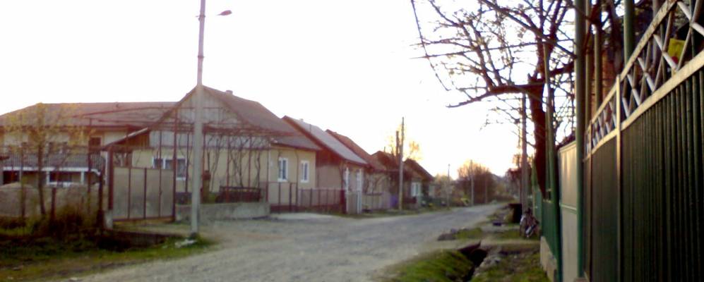 
            Фотография Стеблевки