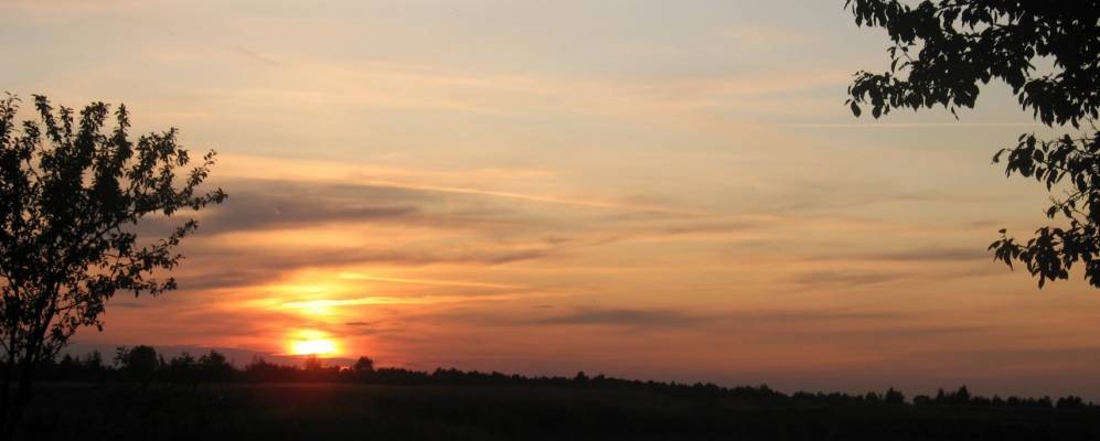 
            Фотография Ольшаны