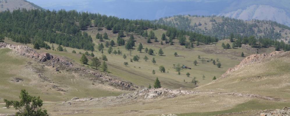 
            Фотография Кучулги