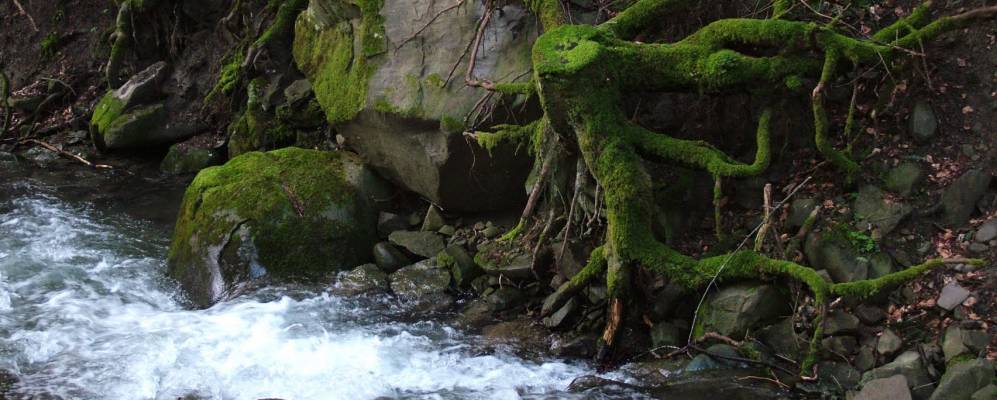 
            Фотография Камальдоли