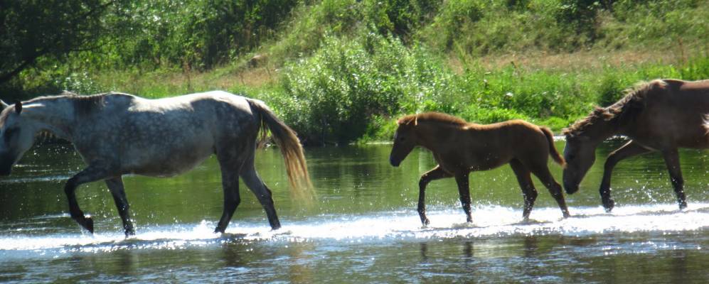 
            Фотография Старой Пристани