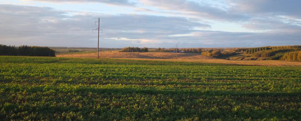 
            Фотография Васнаров